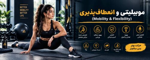 موبیلیتی و انعطاف‌پذیری
