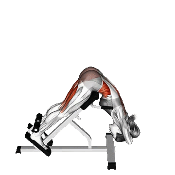 45 Degree Twisting Hyperextension/هایپراکستنشن چرخشی ۴۵ درجه