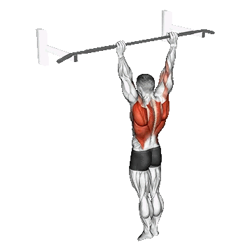 Archer Pull-up/بارفیکس آرچر