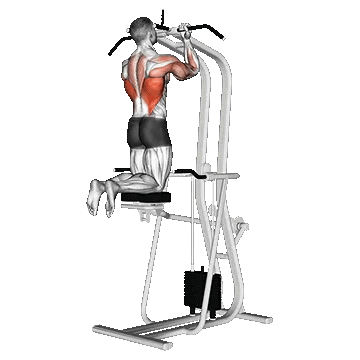 Assisted Close Grip Underhand Chin Up/چین آپ کمکی(بارفیکس دست برعکس)