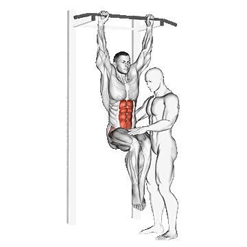 Assisted Hanging Knee Raise with Throw Down/شکم پا صاف حالت آویزان با کمک و پرتاب به پایین