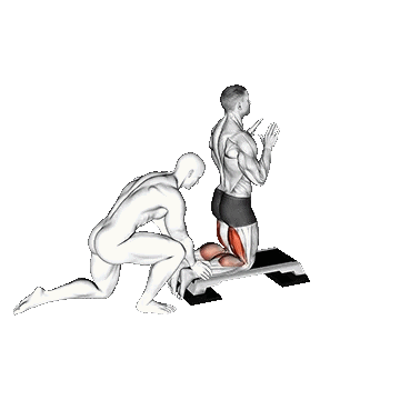 Nordic Hamstring /همسترینگ نوردیک