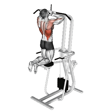 Assisted Parallel Close Grip Pull Up/بارفیکس موازی کمکی دست جمع