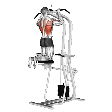 Assisted Pull Up/بارفیکس کمکی(پول آپ)