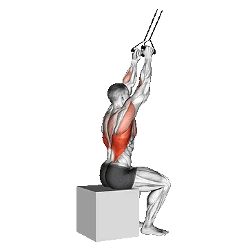 Band Close Grip Pulldown/سیم‌کش لت گریپ V