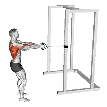 Band Close Grip Row/پارویی با کش