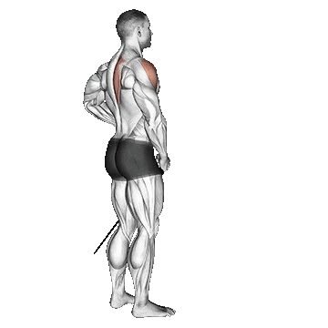 Band Front Lateral Raise/نشر از جانب با سیمکش از جلو