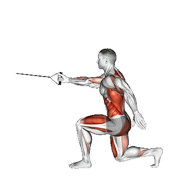 Band High Knee Lunge with Single Arm Row/لانژ با سیم کش و زانوی بالا آورده شده با یک دست (تک دست)