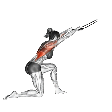 Band Kneeling Pulldown/پول دان سیمکش
