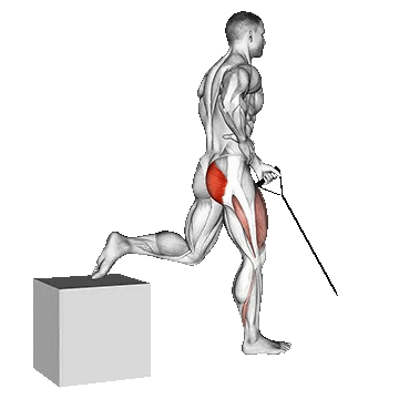 Band One Arm Single Leg Split Squat/اسکات با سیمکش، تک دست