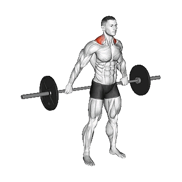 Barbell Back Wide Shrug/شراگ باز هالتر از پشت