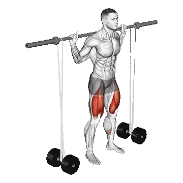 Barbell Banded Squat/اسکات هالتر با کش