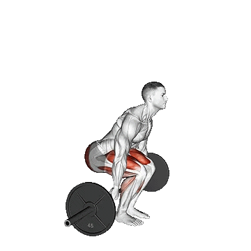 Barbell Behind The Back Deadlift/ددلیفت با هالتر از پشت