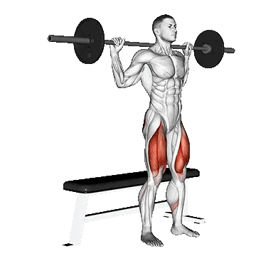 Barbell Bench Squat/اسکات هالتر از جلو روی نیمکت