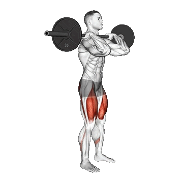 Barbell Clean Grip Front Squat/اسکات از جلو با هالتر کلین گریپ