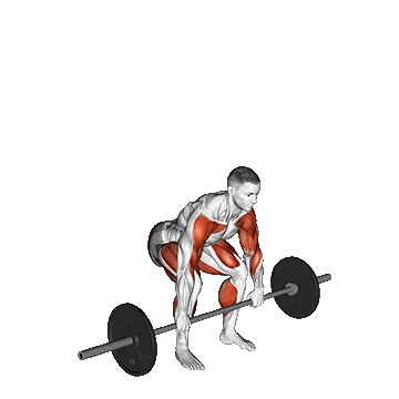 Barbell Full Clean/فول کلین هالتر