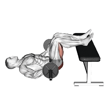 Barbell Glute Bridge Two Legs on Bench/پل باسن با هالتر، دو پا روی نیمکت