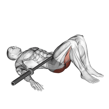 Barbell Glute Bridge/پل باسن با هالتر