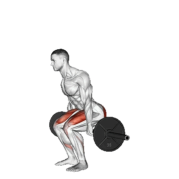 Barbell Hack Squat/هک اسکات با هالتر