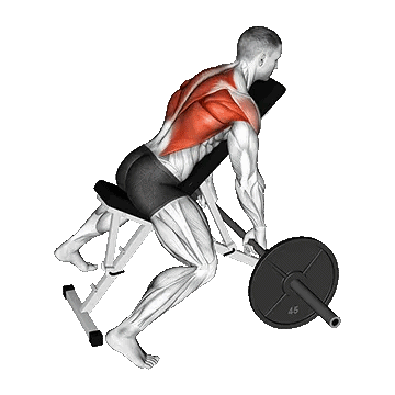 Barbell Incline Row/زیربغل هالتر نیمکت شیب دار