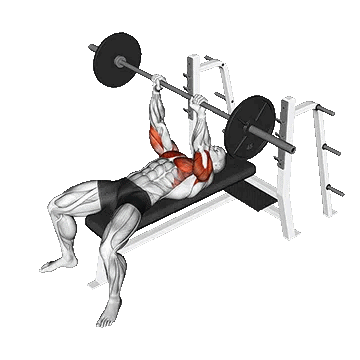 Barbell JM Bench Press/پرس سینه هالتر JM