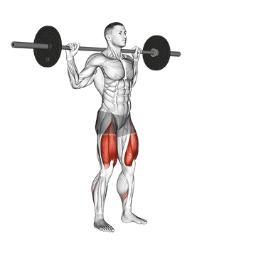 Barbell Lateral Lunge/ساید لاگز هالتر