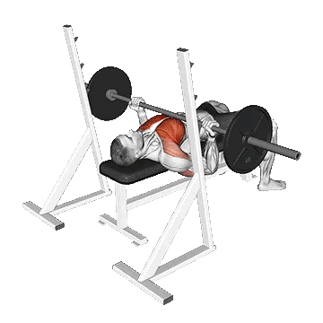 Barbell Reverse Grip Bench Press/پرس سینه با هالتر با دست برعکس