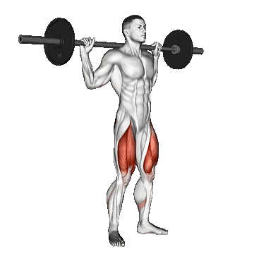 Barbell Speed Squat/اسکات سرعتی با هالتر