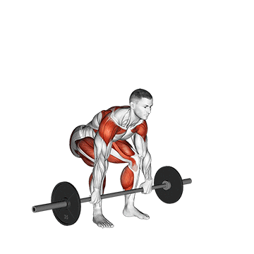 Barbell Split Clean/هالتر اسپلیت کلین