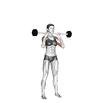 Barbell Standing Close Grip Military Press/پرس نظامی با هالتر ایستاده  دست جمع