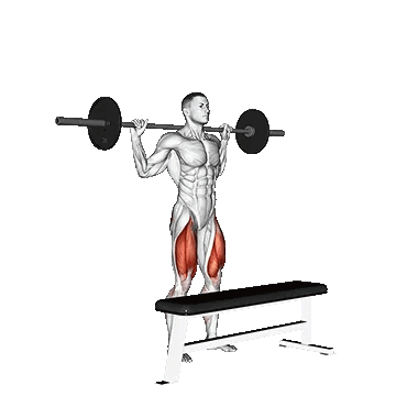 Barbell Step Up/استپ آپ با هالتر