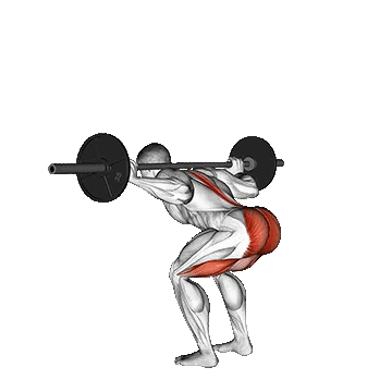 Barbell Stiff Leg Good Morning/سلام ژاپنی با هالتر