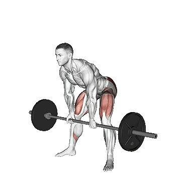 Barbell Sumo Romanian Deadlift/سومو ددلیفت رومانیایی با هالتر