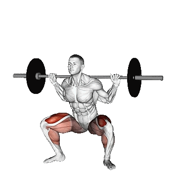 Barbell Sumo Squat/سومو اسکات با هالتر