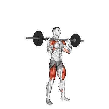 Barbell Thruster/هالتر تراستر