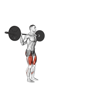 Barbell Walking Lunge/لانگز پیاده روی با هالتر