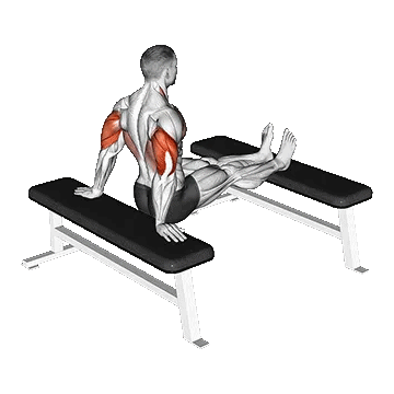 Bench Dip with Legs on Bench/دیپ روی نیمکت با پاها روی نیمکت