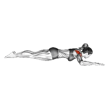 Bodyweight Lying Shoulder External Rotation/چرخش خارجی شانه (خوابیده)