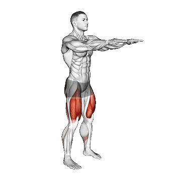 Bodyweight Squats/اسکات با وزن بدن