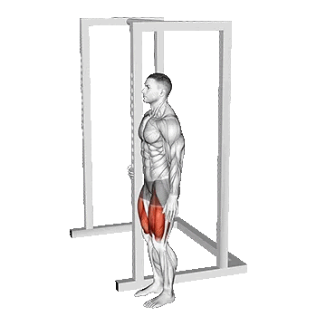 Bodyweight Standing Sissy Squat/سیسی اسکات ایستاده با وزن بدن