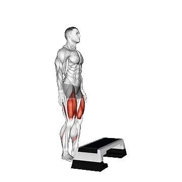 Bodyweight Step Up on Stepbox/استپ آپ با وزن بدن