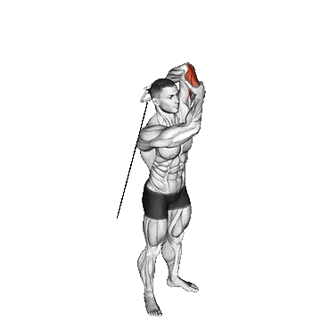 Cable Alternate Triceps Extension/پشت بازو تک دست سیمکش