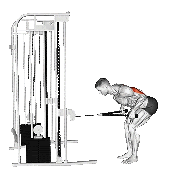 Bent-over-arm cable pull-up/سیمکش طنابی پشت بازو خم