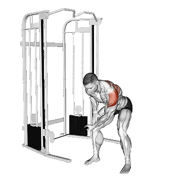 Cable Bent Over One Arm Lateral Raise/نشر خم تک دست سیمکش