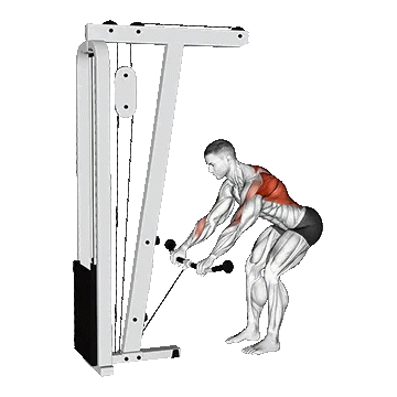 Cable Bent Over Row/پارویی خم سیمکش دستگیره T