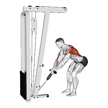Cable Bent Over Row with Rope Attachment/پارویی خم  سیمکش طنابی