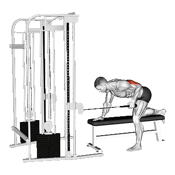 Bench pull-up for the back of the arm/سیمکش طنابی پشت بازو نیمکت