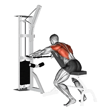 Cable Decline Seated Wide Grip Row/\پارویی سیم‌کش نشسته روی نیمکت با دست باز