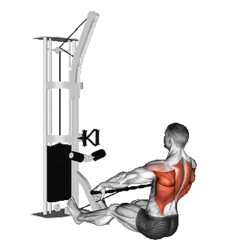 Cable Floor Seated Wide Grip Row Form & Visual/پارویی سیمکش دست باز نشسته