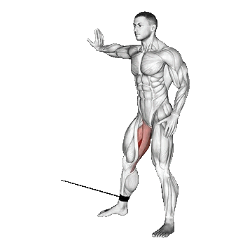 Cable Hip Adduction/اداکشن پا سیمکش (داخل ران)